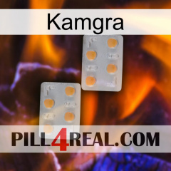 Kamgra 25